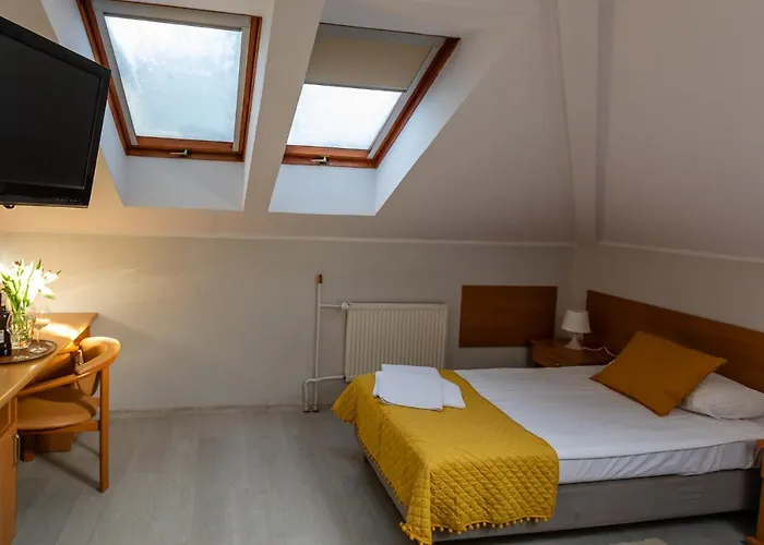 Sport كوزتسالين