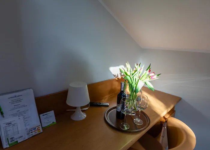 Sport كوزتسالين